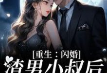 《重生：闪婚渣男小叔后，她赢麻了》全集免费在线阅读（ 虞笙傅砚深）-个性文学