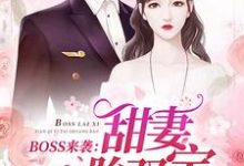 小说《BOSS来袭：甜妻一胎双宝》在线章节阅读-个性文学