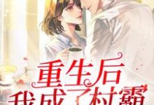 重生后我成了村霸小说无弹窗阅读的网站推荐-个性文学