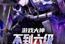 完结版《游戏大神：不到六级，你要越塔杀我》章节目录在线阅读-个性文学