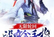 完结版《无限轮回：没有金手指的我悲剧了》章节目录在线阅读-个性文学