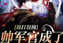 陈岁欢陆兴言小说在线章节免费阅读（误打误撞，帅军官成了我夫君无弹窗无删减）-个性文学