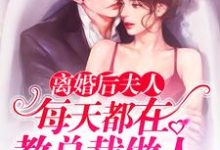 已完结小说《离婚后夫人每天都在教总裁做人》最新章节-个性文学