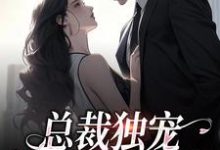 总裁独宠:他超爱少奶奶免费阅读,总裁独宠:他超爱少奶奶章节在线阅读-个性文学