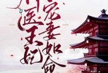 神医王妃:皇叔宠妻如命免费阅读,神医王妃:皇叔宠妻如命章节目录-个性文学