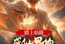 小说《踏上仙路,成仙界的人族最强代表》章节阅读-个性文学