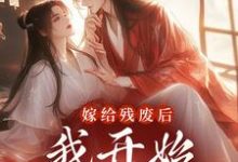 柳拂月楚晏小说完结版在线阅读，嫁给残废后，我开始横行京城免费看-个性文学