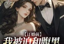 订婚前,我被迫和腹黑大佬领证了小说完结版章节免费阅读-个性文学