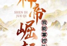 免费看神帝崛起:我能掌控生死小说的网站有哪些?-个性文学