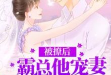 已完结小说《被撩后,霸总他宠妻无底线》章节在线阅读-个性文学