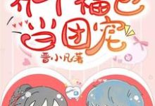 养个福包当团宠章节免费在线阅读,弯弯秦盛完结版-个性文学