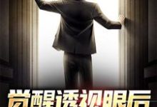 完整版的觉醒透视眼后,我不当舔狗了小说在哪里可以免费读到?-个性文学