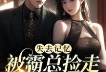 失去记忆,被霸总捡走当女主小说的所有章节都能在哪里免费读到?-个性文学