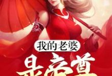 完结版《我的老婆是帝尊》章节阅读-个性文学