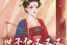 世子他又又又欺负探花郎了!一泽水小说完结版章节在线阅读-个性文学