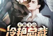 天相下山，冷艳总裁投怀送抱这本小说完结了吗？免费查看最新章节-个性文学