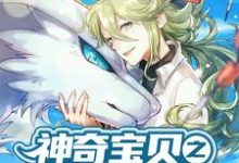 神奇宝贝之最强掌门人陆锋小说免费阅读-个性文学