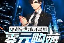 穿到异世:我开局用零元购薅秃京城小说最新章节在哪里可以读到?-个性文学