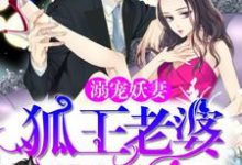 小说《溺宠妖妻:狐王老婆真绝色》章节免费阅读-个性文学