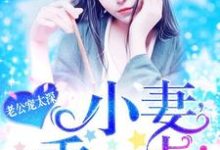 老公宠太深：小妻，乖一点！夏初礼傅靳深夏嫣然白芷妍在线章节免费阅读-个性文学