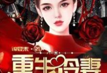 重生冷妻A爆了（何苏叶墨渊司徒慕兰威尔逊）在线免费阅读-个性文学