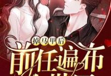 掉马甲后前任遍布全世界小说全文哪里可以免费看？-个性文学