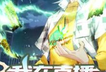 《我在直播演雷法》小说章节在线试读,《我在直播演雷法》最新章节目录-个性文学