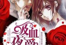 吸血夜爵别咬我小说阅读，吸血夜爵别咬我完结版-个性文学