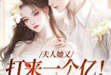 已完结小说《夫人她又打来一个亿！这婚我结！》在线章节阅读-个性文学