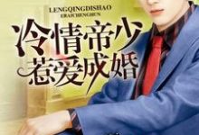 哪里能找到冷情帝少惹爱成婚小说的全部章节？-个性文学