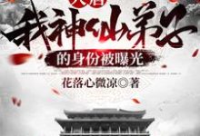 大唐:我神仙弟子的身份被曝光小说有没有完整的免费版本在线阅读?-个性文学