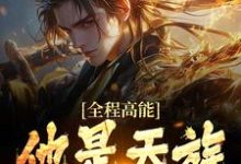 许长安小说完结版在线阅读,全程高能:他是天族世子免费看-个性文学