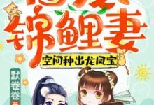 在线寻找团宠锦鲤妻：空间种出龙凤宝小说的无删减版本-个性文学