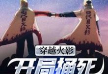 穿越火影:开局捅死宇智波佐助!宇智波叹小说完结版章节在线阅读-个性文学