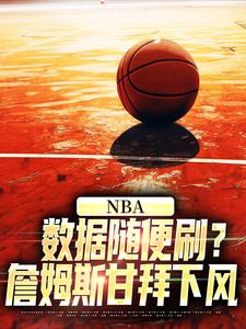 已完结小说《NBA：数据随便刷？詹姆斯甘拜下风》在线章节阅读