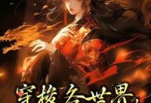 求穿梭各世界,我虐渣虐到爽小说的全文免费阅读链接-个性文学