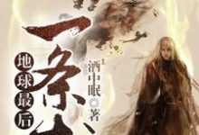 地球最后一条龙小说，地球最后一条龙秦飞苏玉-个性文学