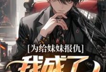 小说《为给妹妹报仇,我成了黑道老大》在线章节阅读-个性文学