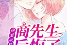 小说《虐爱成瘾：商先生后悔了》章节免费阅读-个性文学