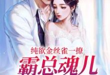 时苒司墨珩小说纯欲金丝雀一撩,霸总魂儿都在飘章节免费阅读-个性文学