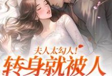 叶溪知肖维熠小说夫人太勾人！转身就被人给拱了在线阅读-个性文学