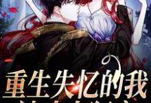 重生失忆的我，被丈夫狂宠夏夜薄之洲，重生失忆的我，被丈夫狂宠小说免费阅读-个性文学