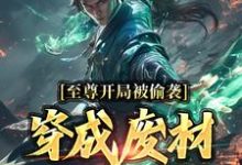 已完结小说《至尊开局被偷袭,穿成废材又如何?》最新章节-个性文学