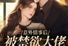 意外情事后，被禁欲大佬缠上了这本小说在哪里可以看？哪里有免费试读章节？-个性文学