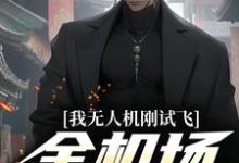 《我无人机刚试飞，全机场就恐慌》小说陆岩章节章节免费在线阅读-个性文学