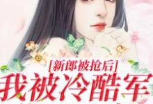 小说《新郎被抢后,我被冷酷军爷日日宠》章节阅读-个性文学