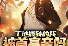 刘帅小说工地搬砖的我,被首富亲妈找回家章节免费阅读-个性文学