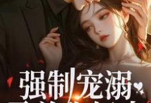 强制宠溺，霸总你轻点！小说有没有完结版在线？-个性文学