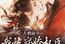 大婚前夕,我被病娇权臣强取豪夺了小说全文哪里可以免费看?-个性文学