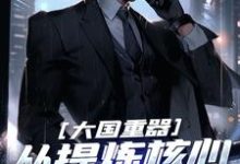 哪里能找到大国重器:从提炼核心技术开始小说的全部章节?-个性文学